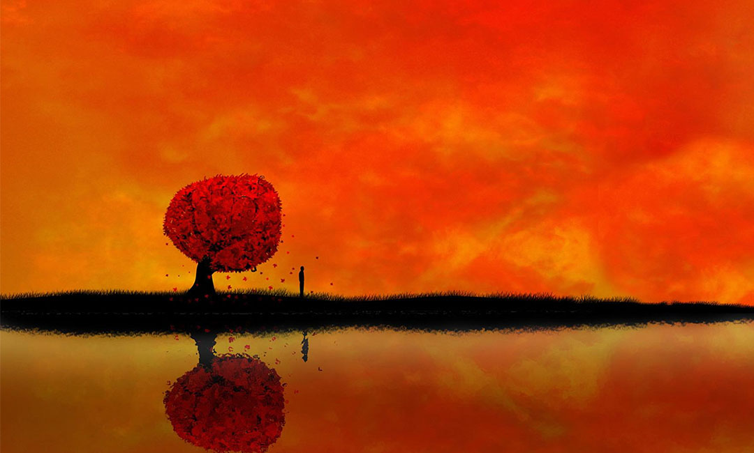 黄山笙影微信朋友圈转发案例